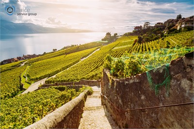 Tagungshotel Genfersee: Genf, Lausanne oder Montreux f&uuml;r Ihr Seminar?